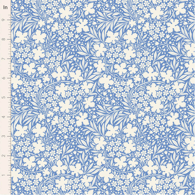 Something Blue Bushbloom - Blue