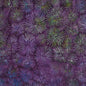 Blank Ocean Mandala Batiks - Sea Fire - Black Rabbit Fabric Inc.