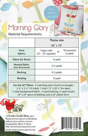 Morning Glory