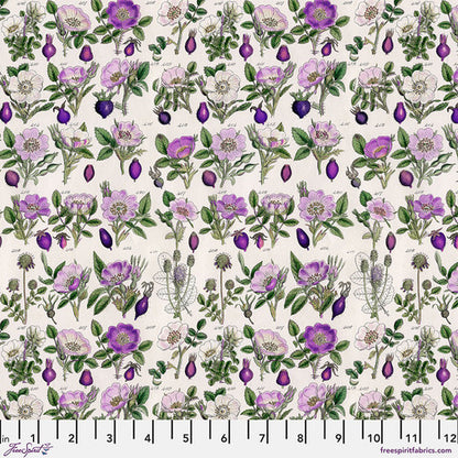 Palette Purple Collection